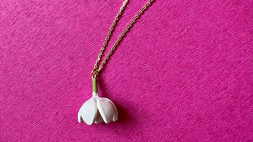 Mallipoo & Poo Collectives