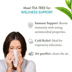 Tea Tree Essential Oil