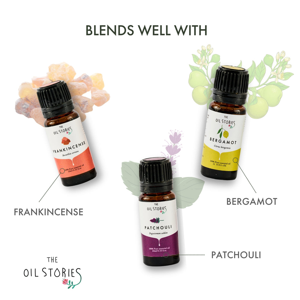 Rose Absolute Oil